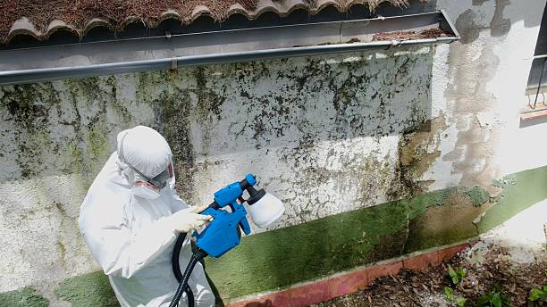 Top rated local Mold Remediation specialists in Georgetown, PA